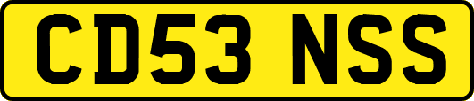 CD53NSS