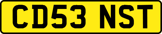 CD53NST
