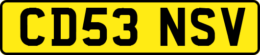 CD53NSV