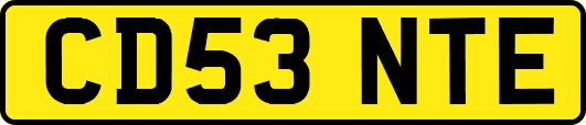 CD53NTE