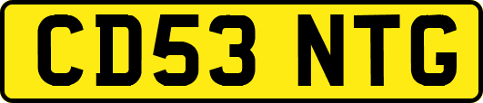 CD53NTG