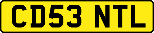 CD53NTL