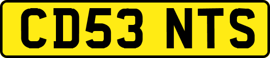 CD53NTS