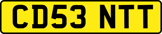 CD53NTT