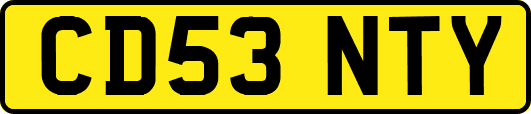 CD53NTY