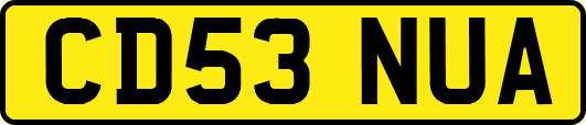 CD53NUA