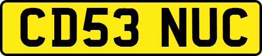CD53NUC