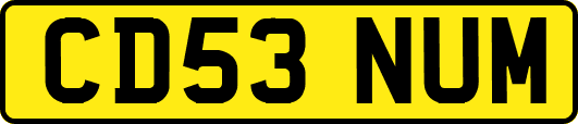 CD53NUM