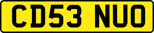 CD53NUO