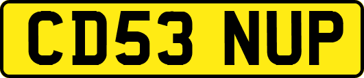 CD53NUP