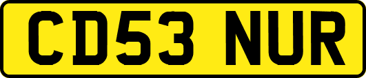 CD53NUR