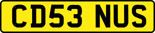 CD53NUS