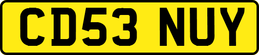 CD53NUY