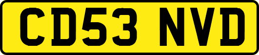 CD53NVD