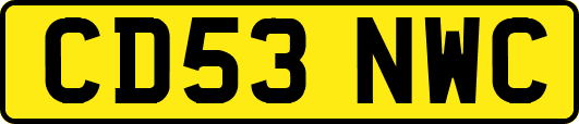CD53NWC