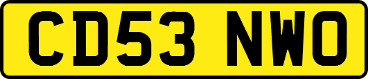 CD53NWO
