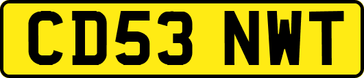CD53NWT