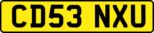 CD53NXU