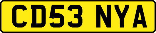 CD53NYA