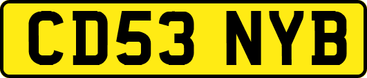 CD53NYB