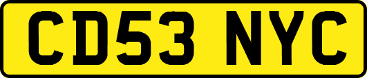 CD53NYC