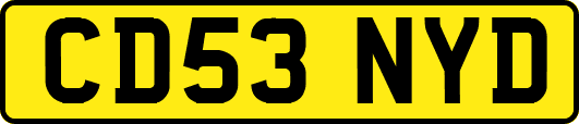 CD53NYD