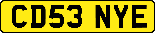 CD53NYE