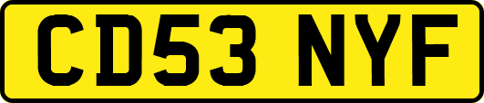 CD53NYF