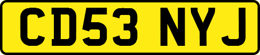 CD53NYJ