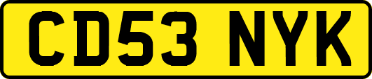 CD53NYK