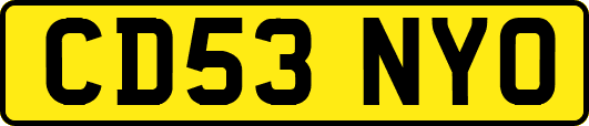 CD53NYO