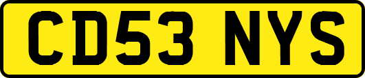 CD53NYS
