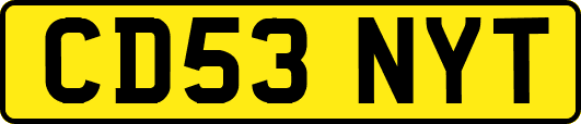 CD53NYT