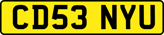 CD53NYU