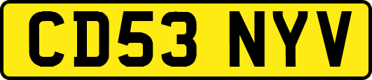 CD53NYV