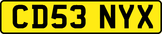 CD53NYX