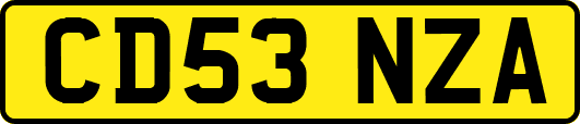 CD53NZA