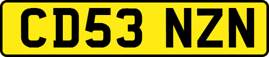 CD53NZN