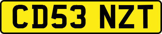 CD53NZT