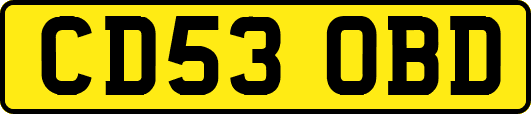 CD53OBD