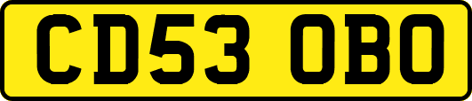 CD53OBO