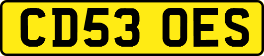 CD53OES