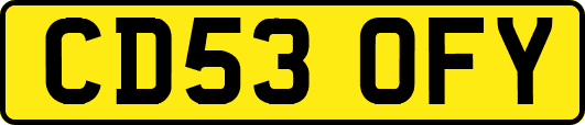 CD53OFY