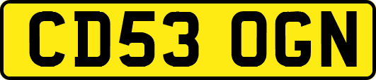 CD53OGN