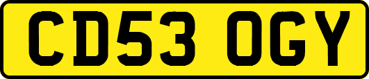 CD53OGY