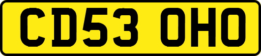 CD53OHO