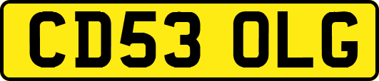 CD53OLG