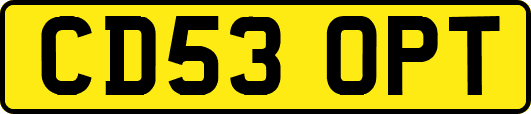 CD53OPT