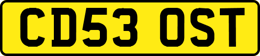 CD53OST