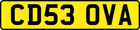 CD53OVA